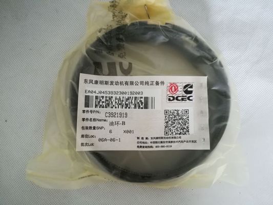 중국 반대로 착용 저항 디젤 엔진 피스톤 링 3922686 정확한 디자인 - 화나게 하기 협력 업체